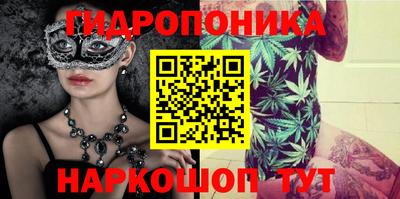 стафф Краснознаменск