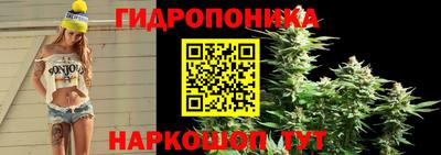 спайс Краснодар
