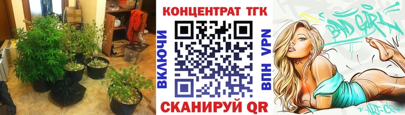 купить  сайты  Казань  Дистиллят ТГК гашишное масло 