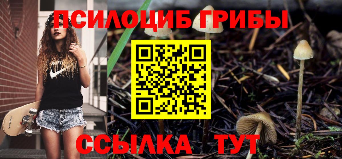Псилоцибиновые грибы Magic Shrooms Казань