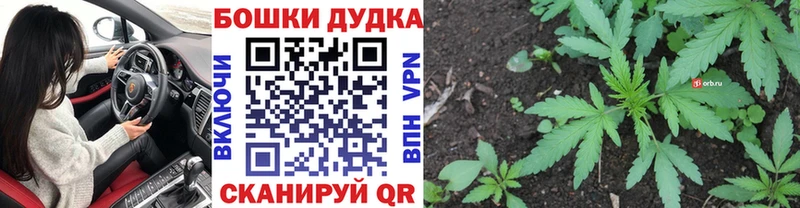 Конопля сатива  сколько стоит  Казань 